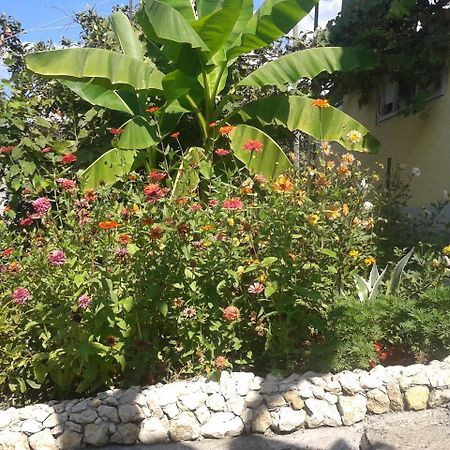 Guesthouse On Kabardinskaya 139A กากรา ภายนอก รูปภาพ