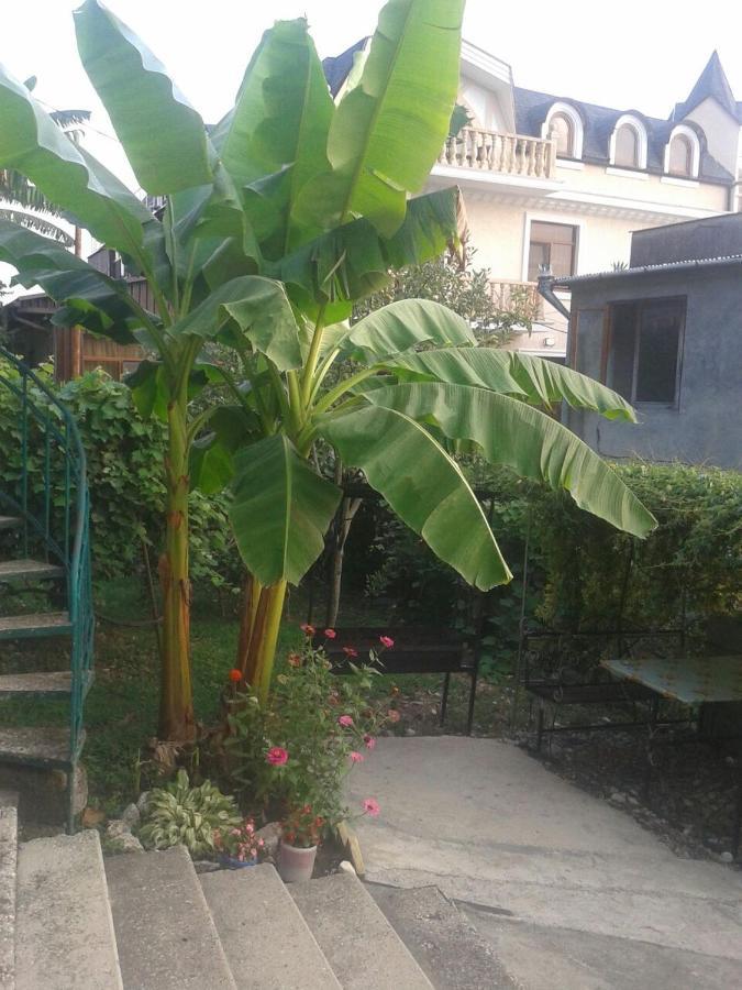 Guesthouse On Kabardinskaya 139A กากรา ภายนอก รูปภาพ