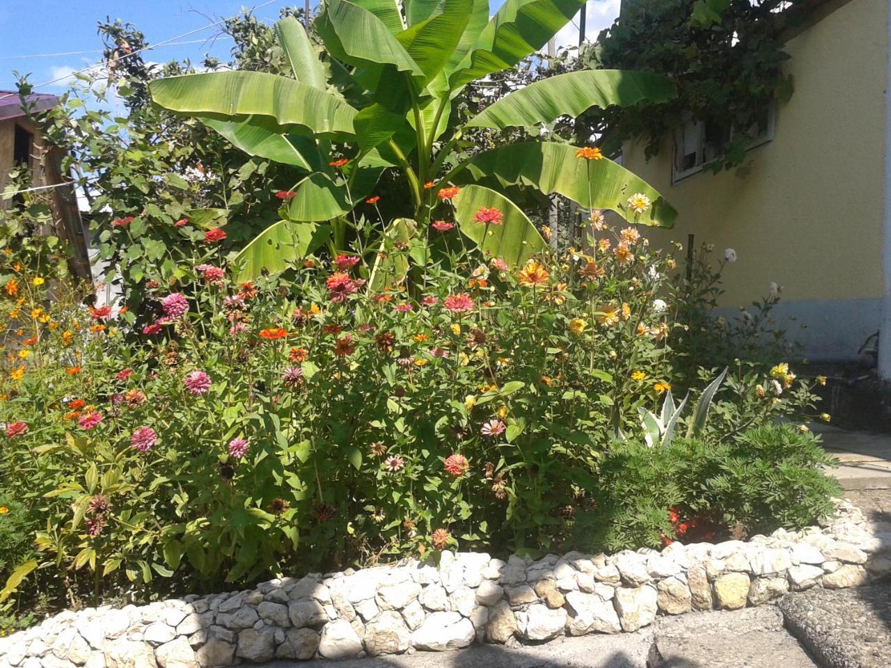 Guesthouse On Kabardinskaya 139A กากรา ภายนอก รูปภาพ